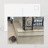 Funny Cat Foto Briefkaart (Voorkant / Achterkant)