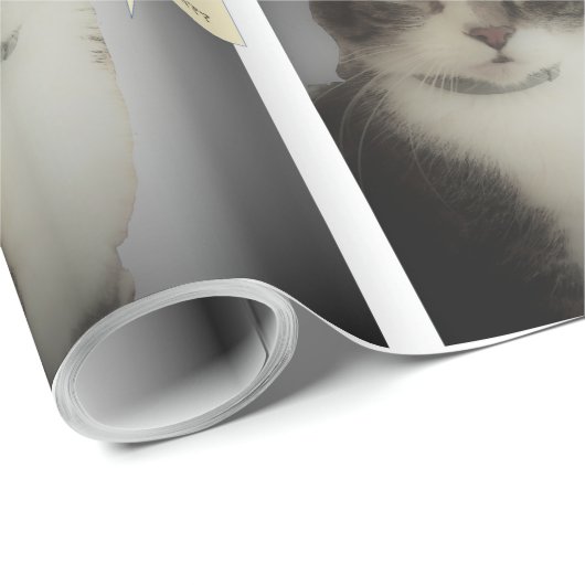 Funny Cat Foto Cadeaupapier (Rol Hoek)