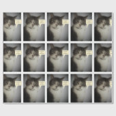 Funny Cat Foto Cadeaupapier (Vlak)