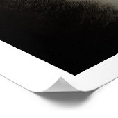 Funny Cat Foto Poster (Hoek)