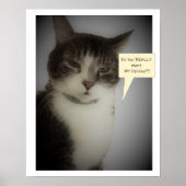 Funny Cat Foto Poster (Voorkant)
