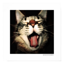 Funny Cat Fun Tongue uit Kitten Cool Poster Prints