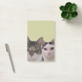 Funny Cat Gang Post-it® Notes (Kantoor)