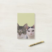 Funny Cat Gang Post-it® Notes (Op bureau)