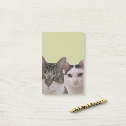 Funny Cat Gang Post-it® Notes (Op bureau)