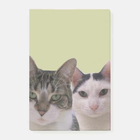 Funny Cat Gang Post-it® Notes (Voorkant)