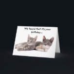 Funny Cat 'Geef ons tonijn'-vogelkaart Kaart<br><div class="desc">Een grappige verjaardagskaart voor een kattenliefhebber. Op de omslag een twee terugkerende katten. Ze zeggen: "We hoorden dat het jouw verjaardag is... " . Aan de binnenkant staat: "Het kan ons niet schelen. Geef ons tonijn." Een geweldig kaartcadeau voor kattenliefhebbers. Foto gebruikt met toestemming van © Frenc | Stockvrije Afbeeldingen...</div>