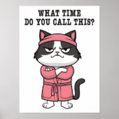 Funny Cat Gemist Avondklok Poster (Voorkant)