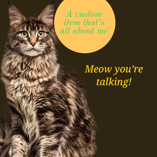 Funny cat, gepersonaliseerde kat trui