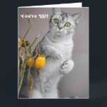 Funny Cat Happy 18th Birthday Card Kaart<br><div class="desc">Dit ontwerp heeft een grappig afbeelding van een kat. Ideaal voor speciale gelegenheden zoals verjaardagen,  verjaardagen en meer. Als u het ontwerp wilt personaliseren door het bericht,  de leeftijd of het lettertype te wijzigen,  klikt u op "Ontwerp bewerken".</div>
