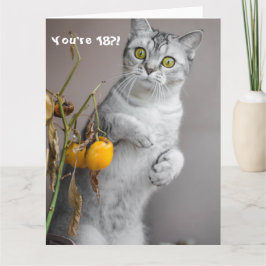 Funny Cat Happy 18th Birthday Card Kaart