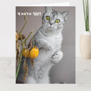 Funny Cat Happy 18th Birthday Card Kaart