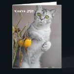 Funny Cat Happy 21st Birthday Card Kaart<br><div class="desc">Dit ontwerp heeft een grappig afbeelding van een kat. Ideaal voor speciale gelegenheden zoals verjaardagen,  verjaardagen en meer. Als u het ontwerp wilt personaliseren door het bericht,  de leeftijd of het lettertype te wijzigen,  klikt u op "Ontwerp bewerken".</div>