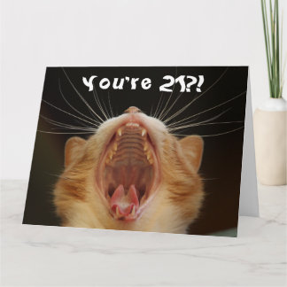 Funny Cat Happy 21st Birthday Kaart
