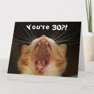 Funny Cat Happy 30th Birthday Card Kaart