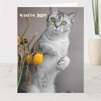 Funny Cat Happy 30th Birthday Kaart