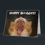 Funny Cat Happy Birthday-kaart Kaart<br><div class="desc">Dit ontwerp heeft een grappig afbeelding van een kat. Ideaal voor speciale gelegenheden zoals verjaardagen,  verjaardagen en meer. Als u het ontwerp wilt personaliseren door het bericht,  de leeftijd of het lettertype te wijzigen,  klikt u op "Ontwerp bewerken".</div>