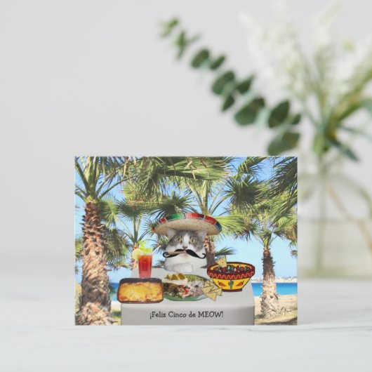 Funny Cat Happy Cinco de Mayo Briefkaart (Staand voorkant)