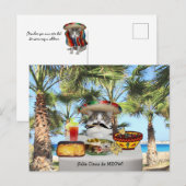 Funny Cat Happy Cinco de Mayo Briefkaart (Voorkant / Achterkant)