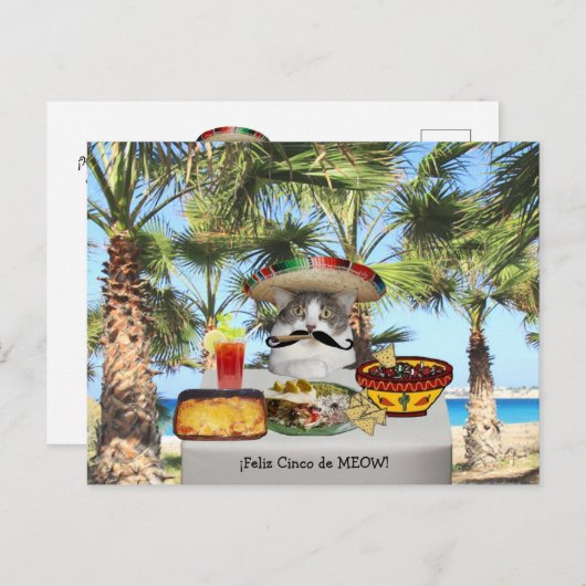 Funny Cat Happy Cinco de Mayo Briefkaart (Voorkant / Achterkant)