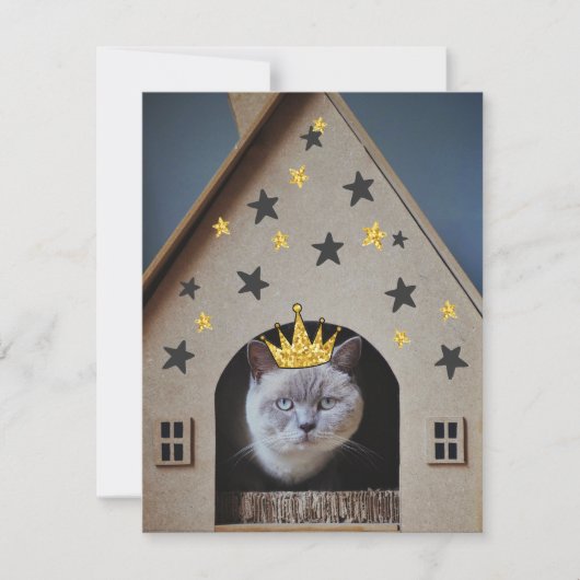 Funny Cat Humor Golden Glitter Bling Crown Cute Kaart (Voorkant)