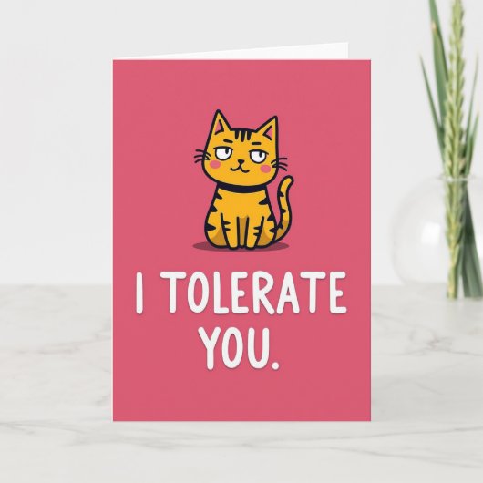 Funny Cat I Tolerate You Card Kaart (Voorkant)