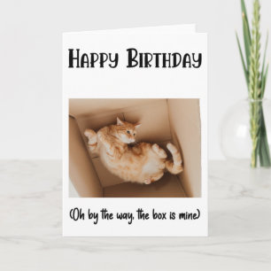 Funny Cat in a box Birthday Wenskaart  Kaart