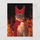 Funny Cat in Halloween Devil Costume Briefkaart (Voorkant)