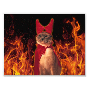 Funny Cat in Halloween Devil Costume Foto Afdruk