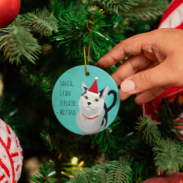 Funny Cat in Santa Hat gepersonaliseerd Ornament