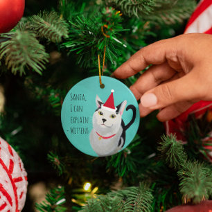 Funny Cat in Santa Hat gepersonaliseerd Ornament