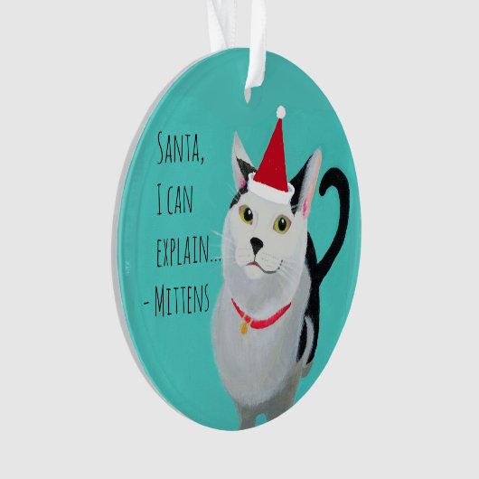 Funny Cat in Santa Hat gepersonaliseerd Ornament (voorkant)