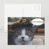 Funny Cat in Sombrero Briefkaart (Voorkant / Achterkant)