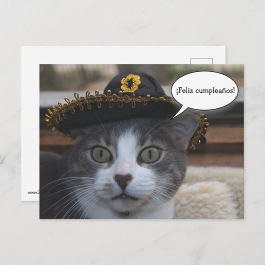 Funny Cat in Sombrero Briefkaart (Voorkant / Achterkant)