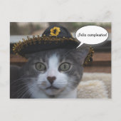 Funny Cat in Sombrero Briefkaart (Voorkant)