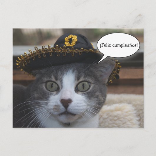 Funny Cat in Sombrero Briefkaart (Voorkant)