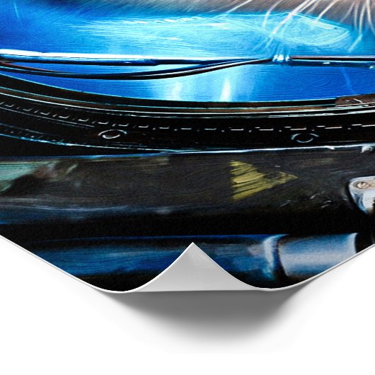 Funny Cat in Space Helmet Poster (Hoek)