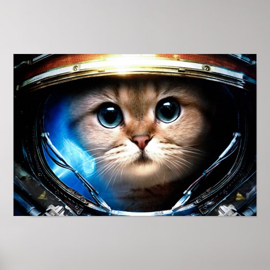 Funny Cat in Space Helmet Poster (Voorkant)