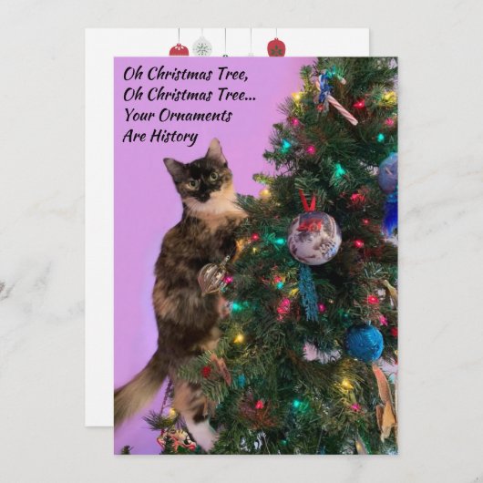 Funny Cat in Tree Eyeing Ornamenten Vakantie Feestdagenkaart (Voorkant / Achterkant)