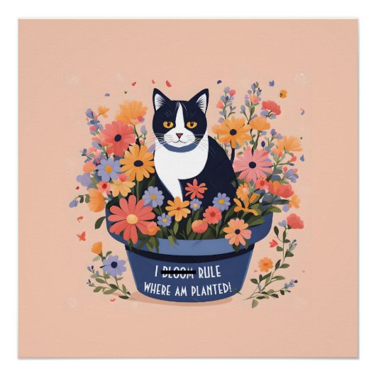 Funny Cat Inspirerend Quote Perfect Poster (Voorkant)