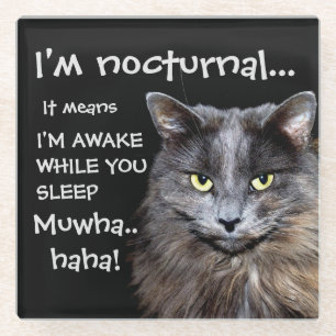 Funny Cat is Nocturnal Evil Laugh Glazen Onderzetter