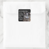 Funny Cat is Nocturnal Evil Laugh Vierkante Sticker (Tas)