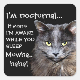 Funny Cat is Nocturnal Evil Laugh Vierkante Sticker
