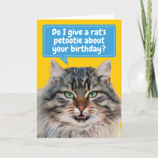 Funny Cat itude Birthday Greeting Kaart (Voorkant)