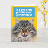 Funny Cat itude Birthday Greeting Kaart (Gele Bloem)