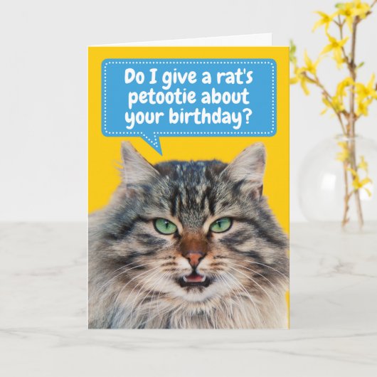 Funny Cat itude  Birthday Greeting Kaart (Gele Bloem)