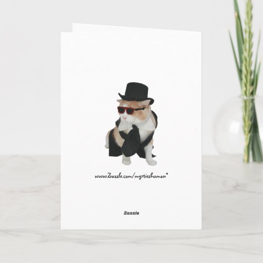  Funny Cat Kaart (Achterkant)