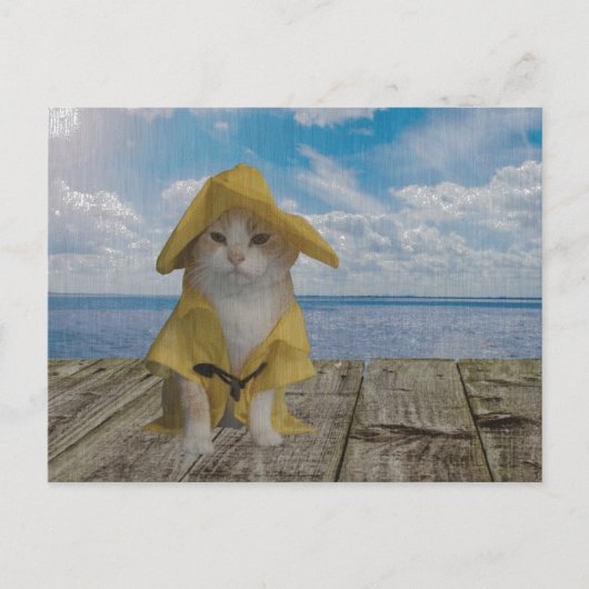 Funny Cat/Kat in Gele Slicker Briefkaart (Voorkant)