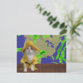Funny Cat/Kat Weatherman in Gele Slicker Briefkaart (Staand voorkant)
