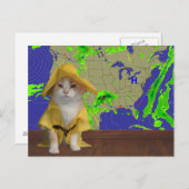 Funny Cat/Kat Weatherman in Gele Slicker Briefkaart (Voorkant / Achterkant)